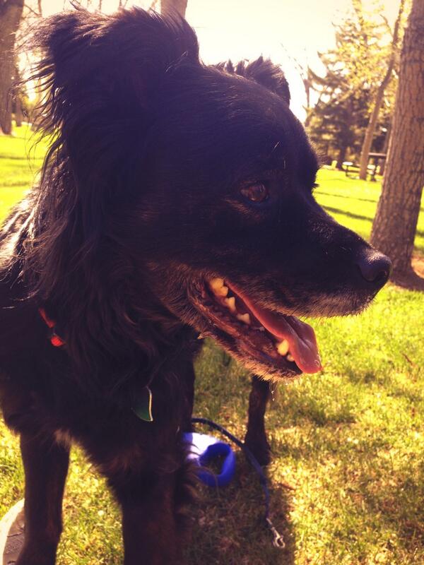 kaygrizwald's tweet photo. #hotdog #smile http://t.co/NHfsbNUKLX
