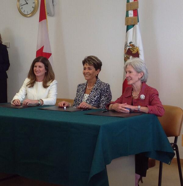 Hon. Rona Ambrose Veitch tweet media