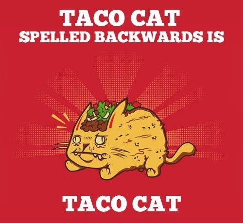 Tacodile1's tweet photo. If only the same was true for Tacodile. I wish I was a racecar - then I'd be a palindrome AND get places efficiently! http://t.co/w68dcynsU3