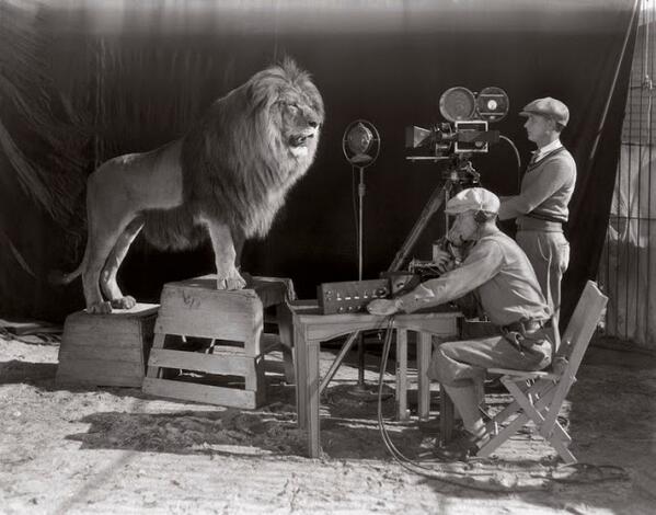 MGM Lion Roar- Film Credit filming- Hollywood- c.1928 #oldphoto #Lion 
etsy.com/listing/190230…