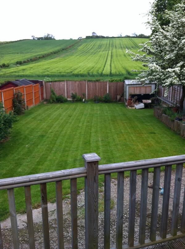 lost_aussie's tweet image. Grass is looking good ready for summer #summertimefun
