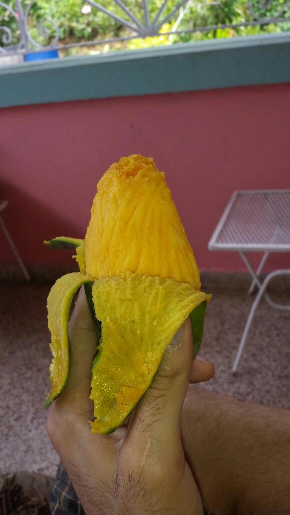 CompTechYK's tweet image. Que rico es el sabor de la naturaleza.