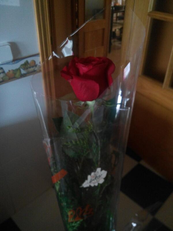VirH's tweet photo. Muuuuchisiisiisiiiimas gracias mi niña ! Eres un sol @_miriam14 http://t.co/Cbpv1aMWzN