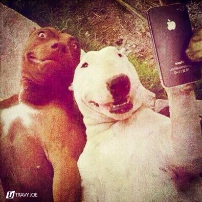 TravyJoe's tweet photo. ¡Sonrie que Cristo te ama! 😁😜 #Selfie #SelfieDogs http://t.co/526UtxmXmp