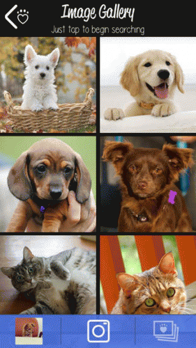 TheAnswerSAS's tweet photo. PetMatch le encuentra un gato o un perro parecido al que murió..[http://t.co/8pLqM2f6Np] http://t.co/8OJ4YN6JYm