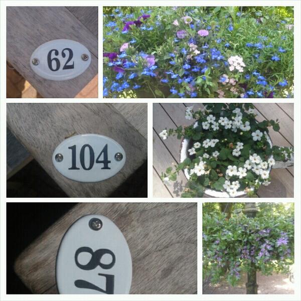 Mauritshoeve's tweet photo. Even  #blijklussen op de #dichtedinsdag http://t.co/mYnUXPnUlH