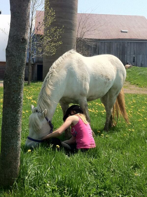 chantalk97's tweet photo. Bareback grazing yesterday. #bareback #grazing #BarnThings http://t.co/kr5MJZhT9m