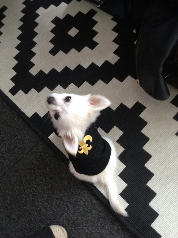 Tiffany___Dawn's tweet photo. @chefLiana Teddy lookin might cute in her prezzie - xoxo http://t.co/pJw55CMt7S