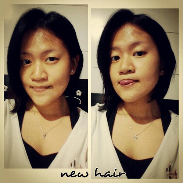DGlorya's tweet photo. Shorthair. Thnkyou dear. http://t.co/UEwuqU19Nv