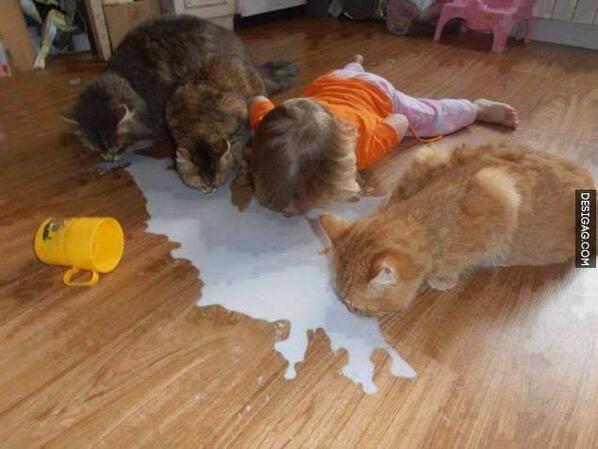desi_gag's tweet photo. Come on guys ! lets clean it up before mom sees it http://t.co/3sTOeWv6qs http://t.co/KuomWELdy0