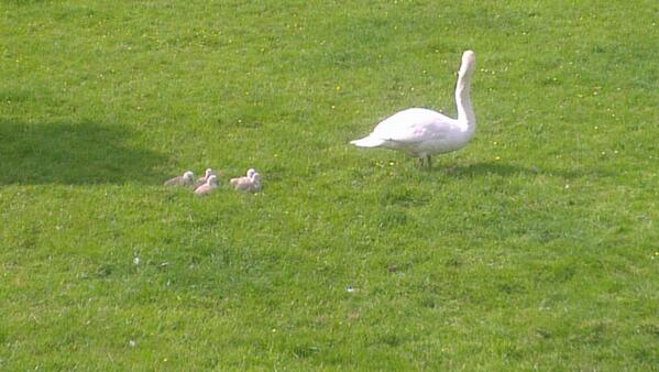 Vanaf ons terras, net geboren