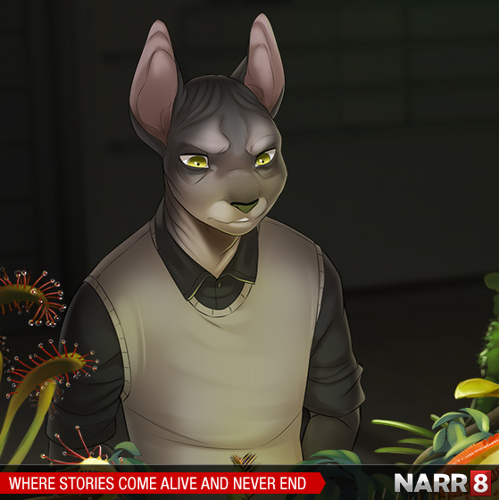 NARR8 tweet picture