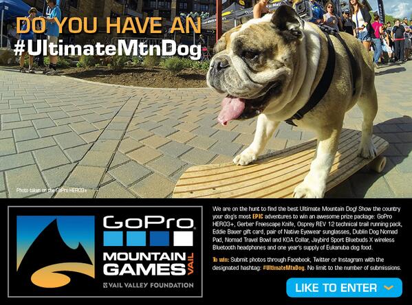 MountainGames's tweet photo. Win some epic gear fro you and your #UltimateMtnDog at the @GoPro Mnt Games! More details: http://t.co/sW2dGddeEO http://t.co/kB9KlXLj1o