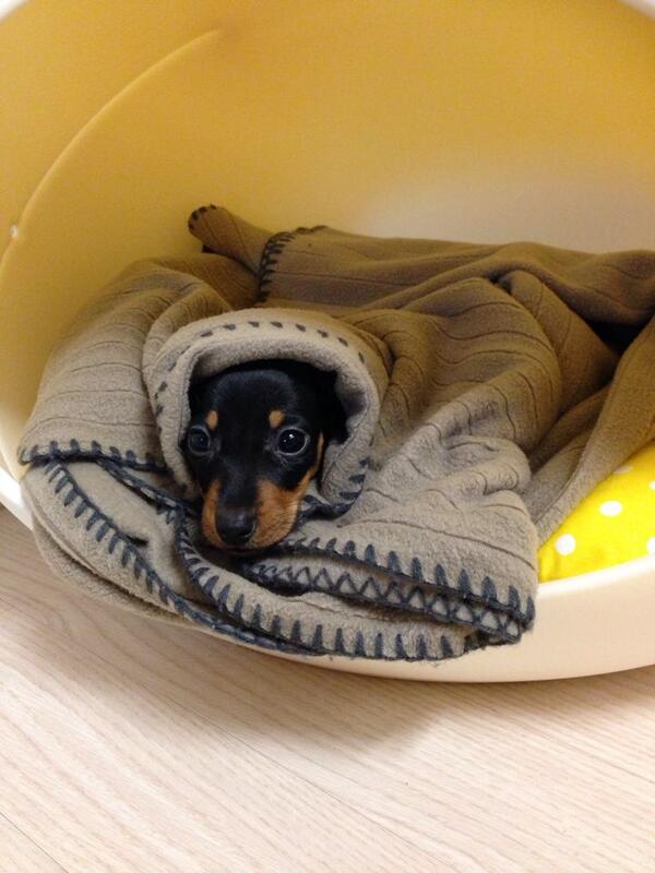 ohitwaslove's tweet photo. 잘자용 꿀나잇 http://t.co/KXbwcd85Zg