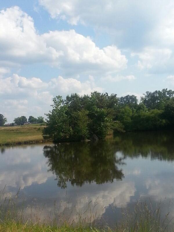 datking's tweet image. Reflecting