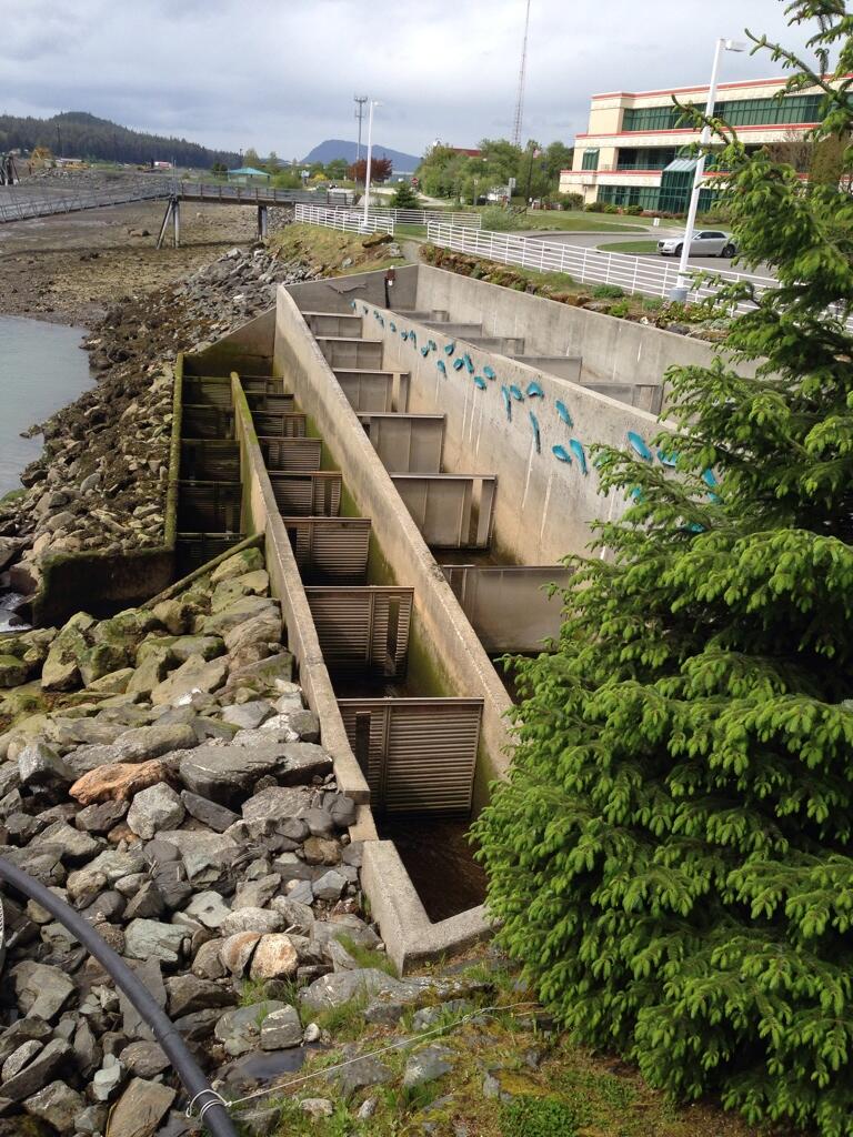 BoG5ySpCQAAEhH_.jpg:large