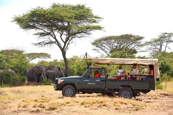 afternoon game drive at Mara North conservancy