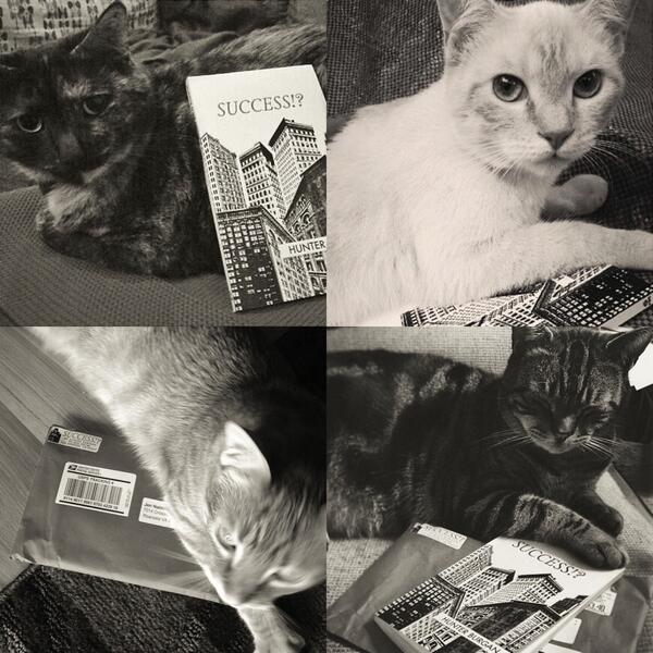 TranquilMammoth's tweet photo. Cats love SUCCESS!?
Tag your own cat/Success!? picture with #catsuccess.
For a fresh copy: http://t.co/kERUtTYQPt π»π http://t.co/DRsDAfG9tk