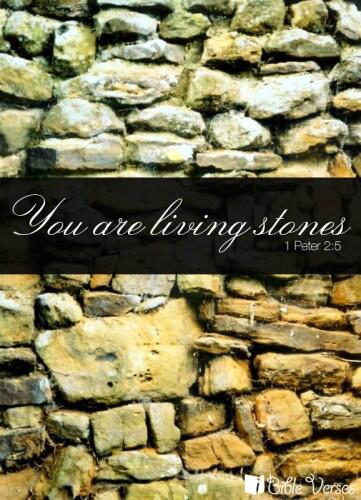 BeringDrive's tweet image. 