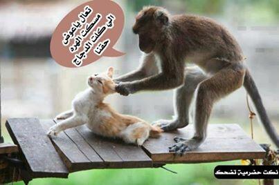 suimetide's tweet photo. http://t.co/K1wu9h1sdx