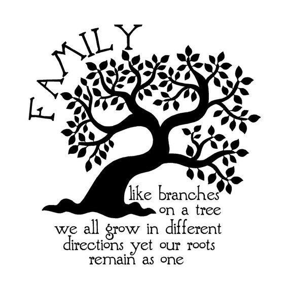 HelpAsh's tweet image. Family, like branches on a tree we all grow in different directions yet our roots remain as one ~unknown