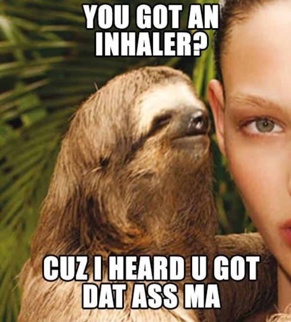 Jizerd's tweet image. #rapesloth #datass