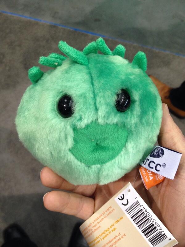 jbadomics's tweet image. Thanks to @ATCCMicrobio there&apos;s been a rapid spread of Chlamydia at #asm2014