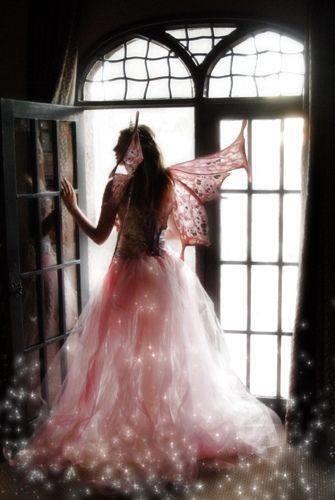 Lucio Valerio tweet media