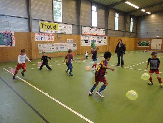 Bron: De Foresters