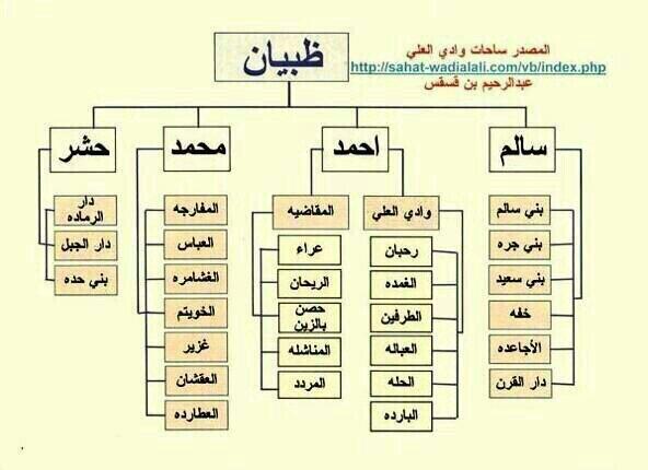 كم عدد قبيلة زهران