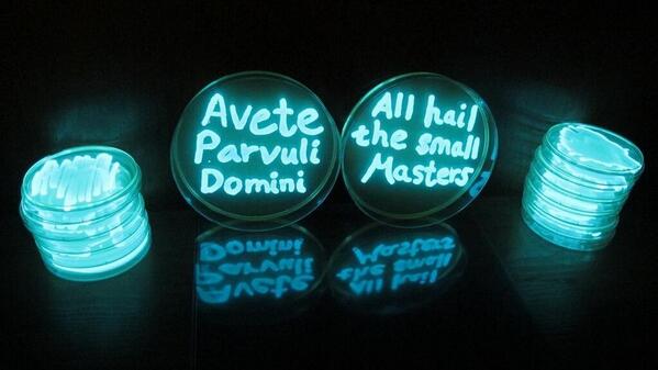 markowenmartin's tweet image. As #ASM2014 starts to wind down, here is the One Microbial Truth that makes us one quorum! #microbialsupremacy