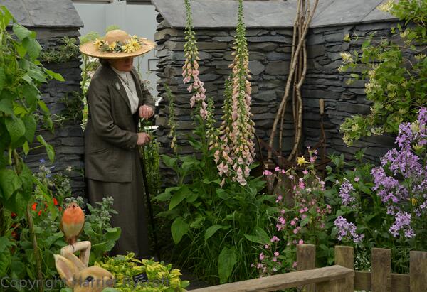 Miss Potter I presume? #chelseaflowershow #HooksgreenHerbs