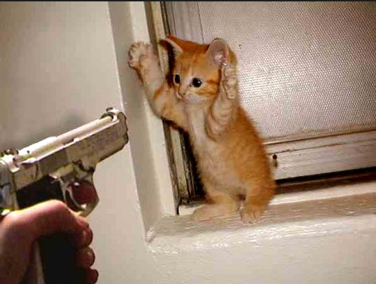 kajolmanshad's tweet photo. Lolzz so right "@aishanoor91: #ThingsYouCannotSayDuringGunPoint Mera jurm to bata do saheb??? http://t.co/e0KMHhhkkD"