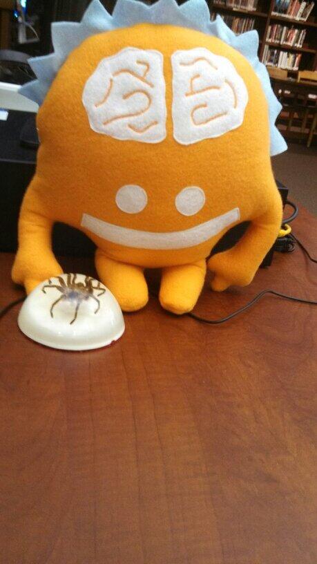 Homestead Library tweet media