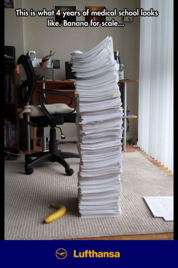 BuffaloChivette's tweet image. Weird because this is what 1 semester of physical agents looks like. #ptschoolproblems