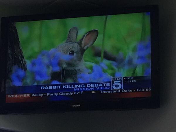 chuodough's tweet image. I'm so proud of @rabbitotmoon on the count of being on the news for his awesome debating skills today! #getitgurl