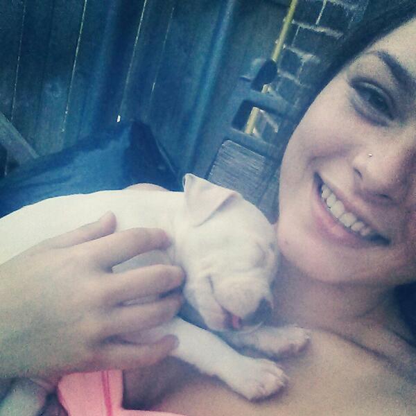 Baylie_Wills's tweet image. The new baby! #pitbull #hertongue #sofuckingcute