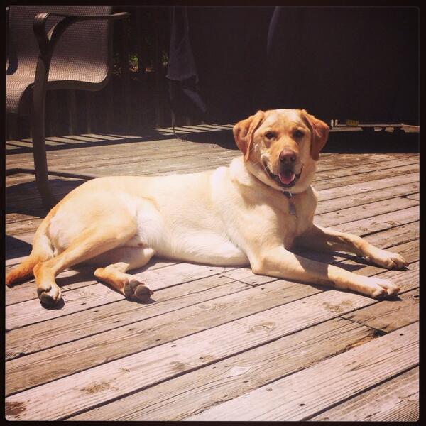 TuckProblems's tweet image. It&apos;s a Tuck life but somebody&apos;s gotta do it! #tuckproblems