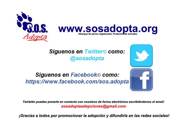 SoSAdopta's tweet photo. Podéis poneros en contacto online con nosotros por todos los medios que veis aquí. Por cierto, gracias por RT http://t.co/VY7pV9h7XZ