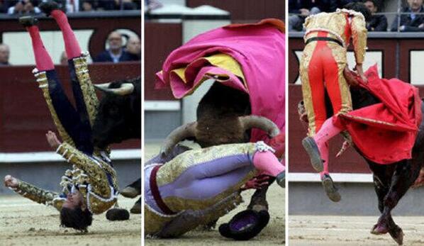 LocusDuoKie's tweet photo. Si me alegro de esto es apología de la violencia de los toros contra los indefensos toreros? 

http://t.co/r1sKsAh9eV http://t.co/FNUQMAb97f