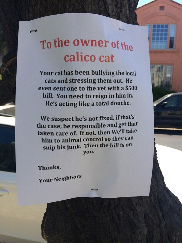 bradthenewguy's tweet image. LA cats are always such douches. #douchealert