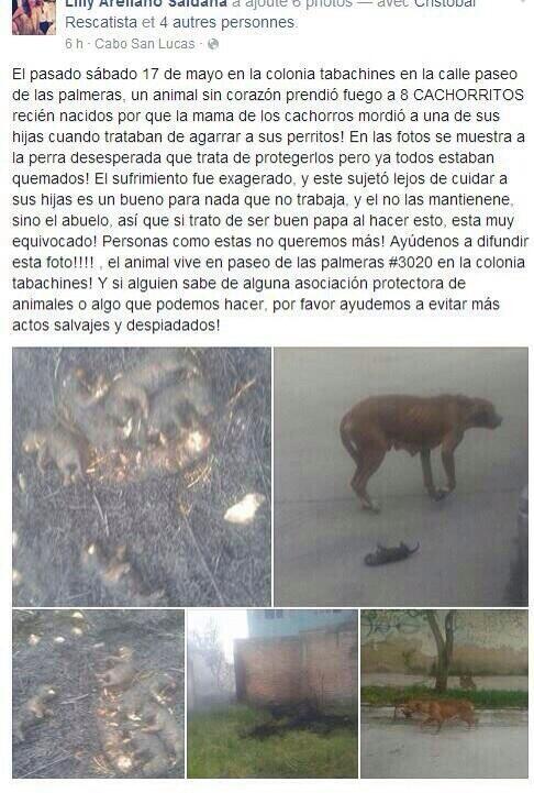 Alarmante. Hasta cuándo permitiremos esto en la sociedad? <a href="/PoliciaZapopan/">Policía de Zapopan</a> <a href="/GobiernoJalisco/">Gobierno de Jalisco</a> @ZapopanGobierno