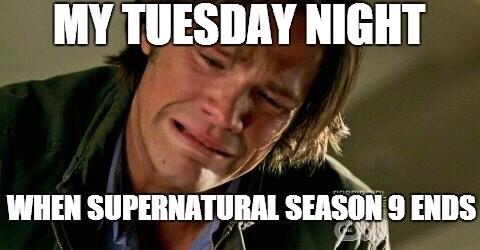 _supernatural_'s tweet photo. Get a rope. You're welcome RT @MalibuRumBarbie: Just leave me hanging until October #Supernatural http://t.co/Lu8AP2oSxH #brosbeforehalos