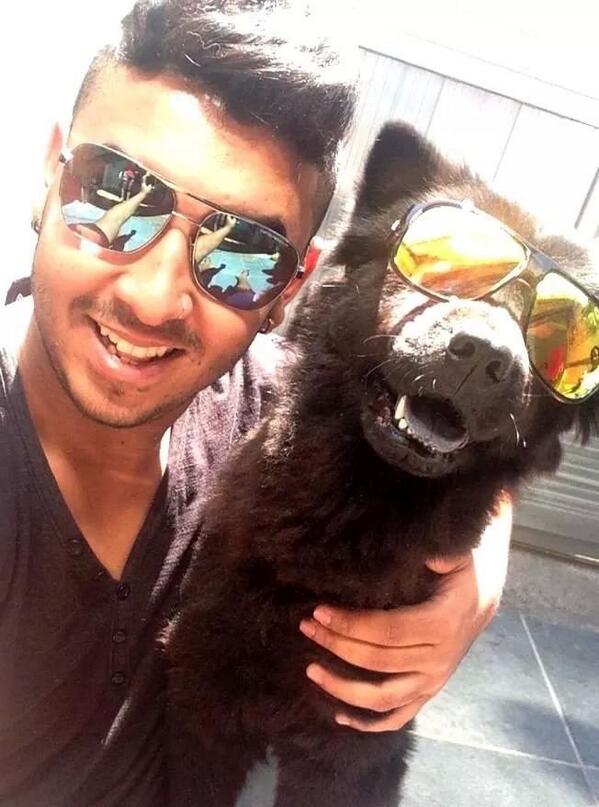 MathCarddoso's tweet image. Amor maior... s2 #Pucca #Filha #ChowChowBlack