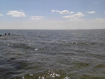 Lonely at the beach in Old Saybrook, CT., 3 PM high tide, 78 degrees http://t.co/OchlmNVP5l<a href="/tag/toofunny"class="tags"><span>#toofunny</span></a>