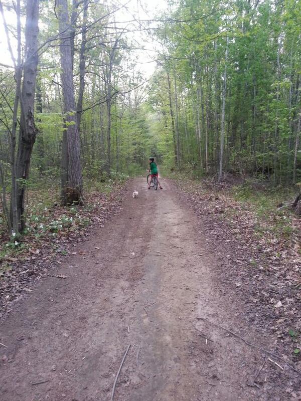 Uh oh, mosquitoes out in force! The woods are no longer safe.