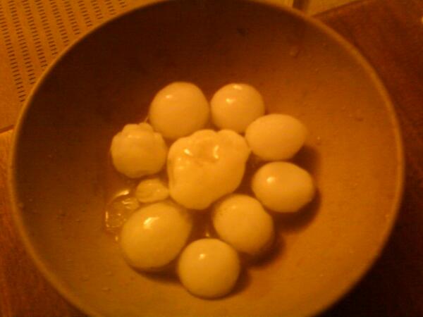 Kate Gingold (@kategingold) on Twitter photo 