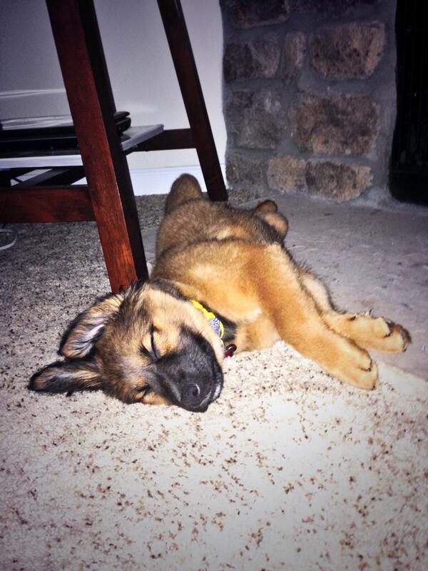 CoachVanW's tweet photo. @R3CKLESS_13 @2sdaysWithRowdy you wore her out! http://t.co/38efPWqP6G