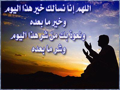 علي آل دغيس tweet media