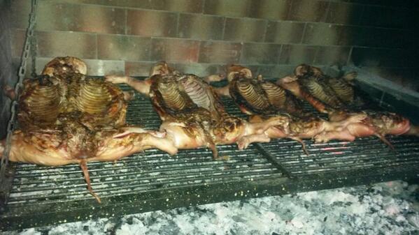 EventosLago's tweet image. Evento sabado 17/05 cumple de 15!
El lago eventos cañuelas!